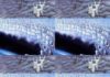 Key to Unlock Revelation (main characters — the Multitude from the Great Tribulation)